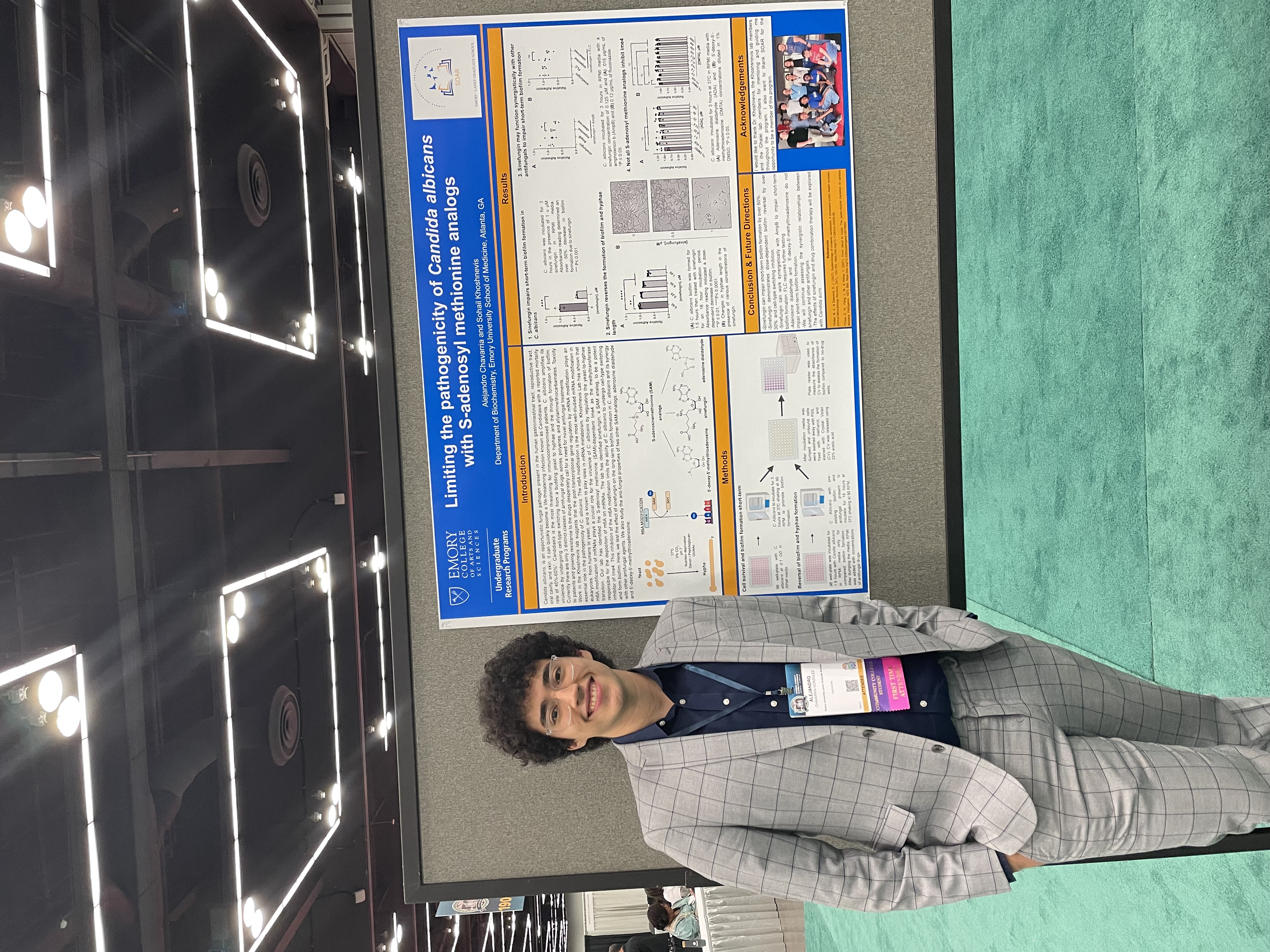 Alejandro Chavarria's avatar